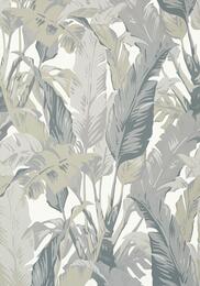 ���� ����������� �� ��������� Thibaut Tropics (0,69�8,22) ����� T10129 (�����)