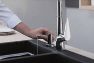 Hansgrohe ������� ������������ � ���������� 500�� ���� 40448000