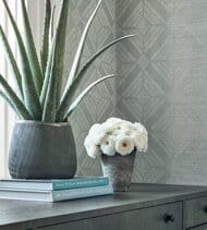 ���� ����������� �� ��������� Thibaut Paramount Modern Resource (0,91�7,32) ���������� T433 (�����)