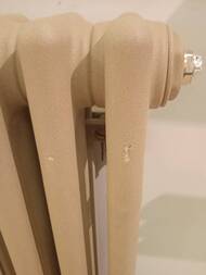 Уценка! Радиатор Zehnder Charleston 2040 двухтрубчатый, боковое подкл. 3/4", 6 секций, цвет: 0054