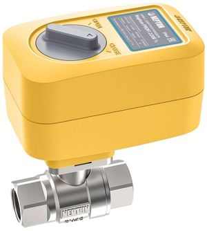 Кран с электроприводом Neptun Profi 220B 1