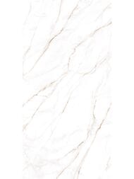 ��������������� ������ Alma Ceramica Neo Calacatta (600x1200) ����� GFU60120NCL04R (��.�)