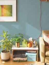     Solo Feerie (1,0610,00) ,  3502-11 (.)