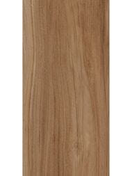   Lasselsberger  (300600)  , ,6260-0196-1001 (..)