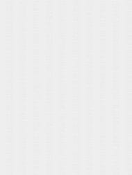 ���� ��������� �� ������������ ������ Grandeco Gloria (1,06x10,05) R158001 ����� (���.)