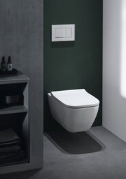 Унитаз подвесной Geberit Smyle Square (350х540х330) безободковый 500.208.01.1
