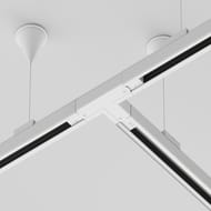 ��������� �-�������� ������ Maytoni Trinity (�������) TRA005CT-31W-R �����, IP20, �����