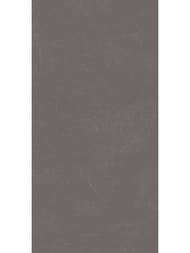 ��������������� ������ Ceradim Stone Notable Ash (600�1200) ����� 9999304517  (��.�.)