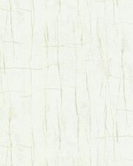 ���� ��������� �� ��������� VALENTIN YUDASHKIN 5 (1,06�10,05) ����������, ��������� 86055 (���.)