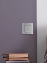  LEGRAND INSPIRIA   10 AX 250   673603